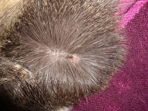 IMGP9429kl.jpg IMGP9429kl.jpg