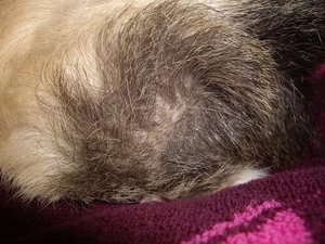 IMGP9427kl.jpg IMGP9427kl.jpg