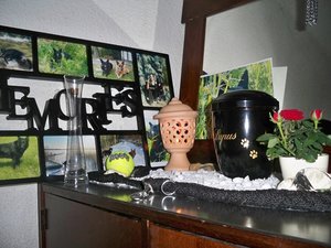 100_4229.JPG 100_4229.JPG