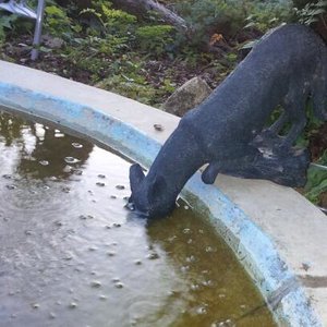 20120731_205858-1.jpg 20120731_205858-1.jpg