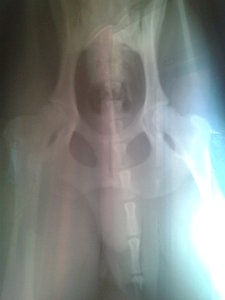 2012-08-01 09.58.56.jpg