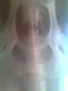 2012-08-01 09.59.02.jpg