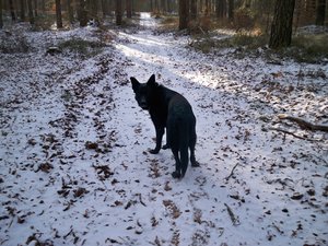 100_4002.JPG 100_4002.JPG