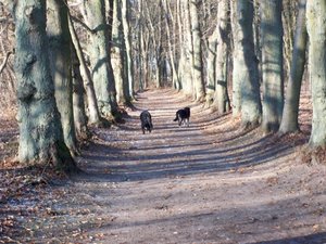 100_4081.JPG 100_4081.JPG