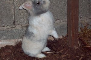 Miko beim Männchen.jpg