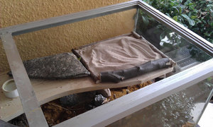 IMAG0056.jpg IMAG0056.jpg