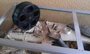 IMAG0057.jpg IMAG0057.jpg