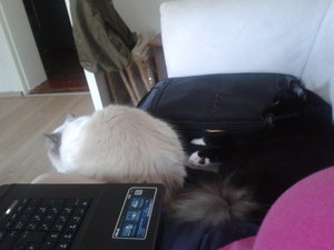 2012-08-02 19.35.08.jpg