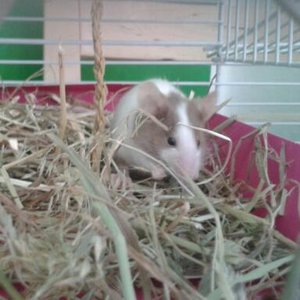 2012-08-02 13.41.52-2.jpg