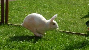 Buchenhof und Hasis 048.JPG