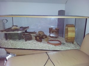 20120804_133054.jpg 20120804_133054.jpg