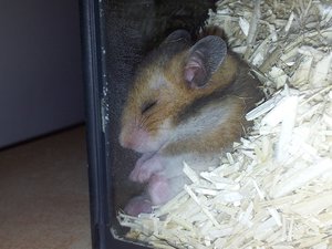 20120724_170438.jpg 20120724_170438.jpg