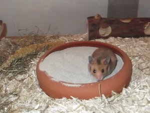 DSCF1362.jpg DSCF1362.jpg