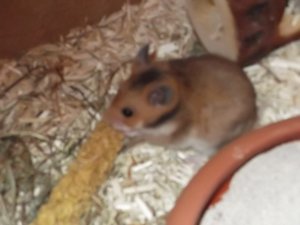 DSCF1365.jpg DSCF1365.jpg