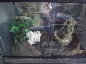 terrariumn.jpg terrariumn.jpg