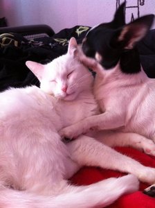 553498_385571354843045_870366169_n.jpg 553498_385571354843045_870366169_n.jpg