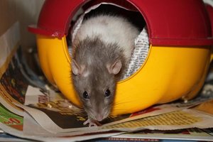 IMG_5753 - Kopie.JPG