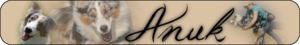 anukbanner01.png