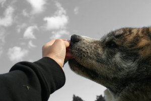 Unbenannt o-i l1.jpg