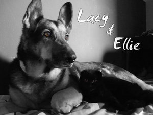 Unbenannt ki-r t1.jpg