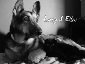 Unbenannt ki-r 1.jpg