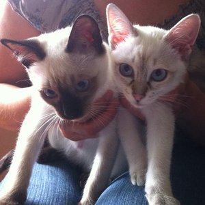 hilarius und hermine.jpg hilarius und hermine.jpg