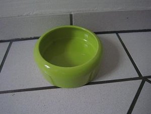 Bilder von Xenia 007.jpg