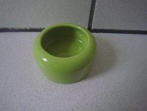 Bilder von Xenia.jpg