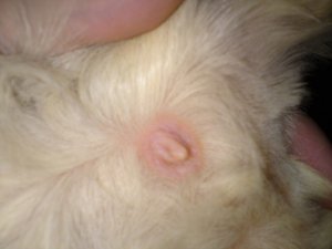 DSC01612 (640x480).jpg DSC01612 (640x480).jpg