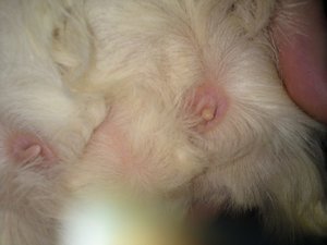 DSC01613 (640x480).jpg DSC01613 (640x480).jpg