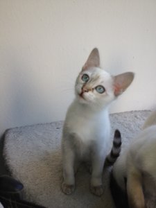 Foto(4).JPG Foto(4).JPG