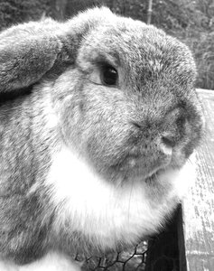 2012-08-09 22.05.52.jpg