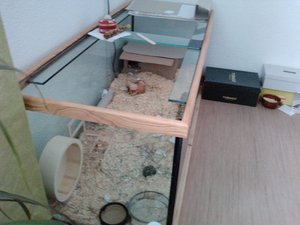 P1243_06-08-12 forum.jpg