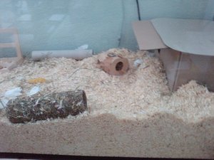 P1242[02]_06-08-12 forum.jpg