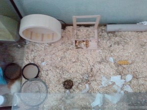 P1242[01]_06-08-12 forum.jpg