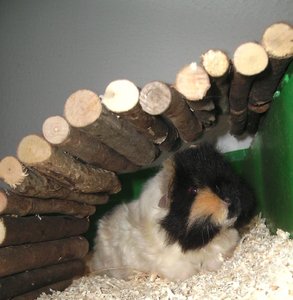 Frisörschick.JPG Frisörschick.JPG