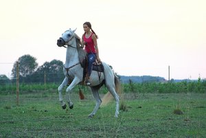 IMG_0043.JPG IMG_0043.JPG