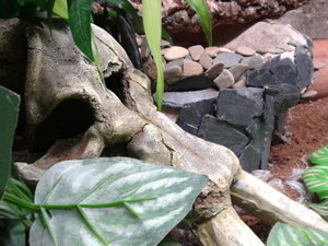 66462667_xl.jpg 66462667_xl.jpg