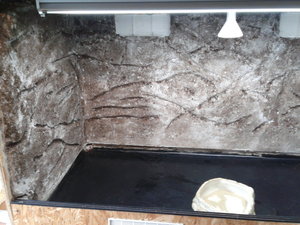 66462675_xl.jpg 66462675_xl.jpg