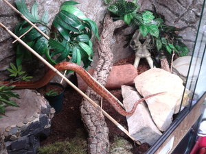 66462676_xl.jpg 66462676_xl.jpg