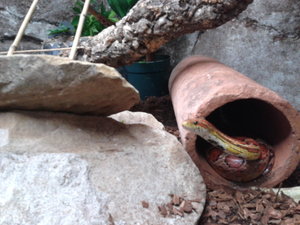 66462677_xl.jpg 66462677_xl.jpg