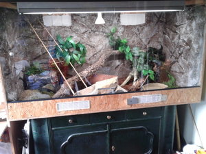 66462679_xl.jpg 66462679_xl.jpg