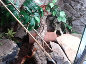 66462685_xl.jpg 66462685_xl.jpg