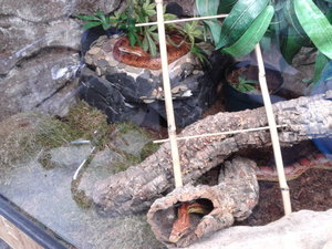 66462686_xl.jpg 66462686_xl.jpg