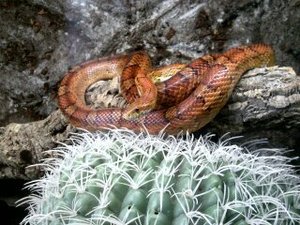 66462687_xl.jpg 66462687_xl.jpg