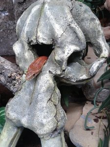 66462733_xl.jpg 66462733_xl.jpg