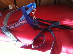 Foto 12.08.12 09 27 03.jpg