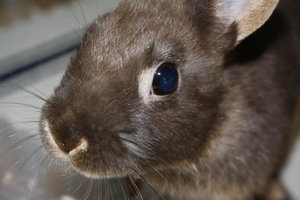 tb bubi süß.JPG tb bubi süß.JPG