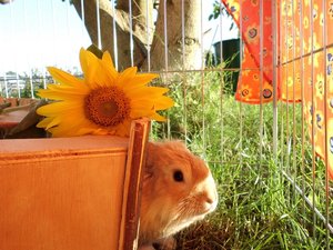 CIMG3512 - Kopie.JPG CIMG3512 - Kopie.JPG