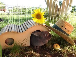 CIMG3476 - Kopie.JPG CIMG3476 - Kopie.JPG